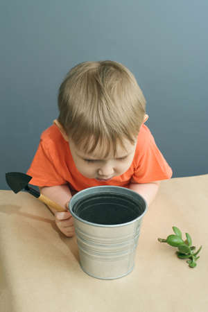 Caucasian blond baby boy in orange t-shirt plants a crassula ovata plant in metal pot, concept of investment in futureの写真素材