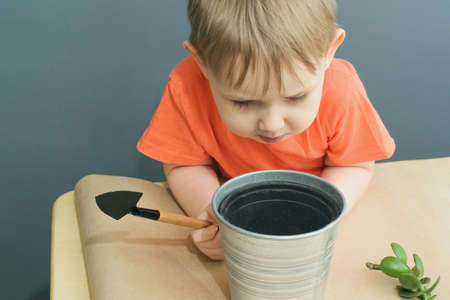 Caucasian blond baby boy in orange t-shirt plants a crassula ovata plant in metal pot, concept of investment in futureの写真素材