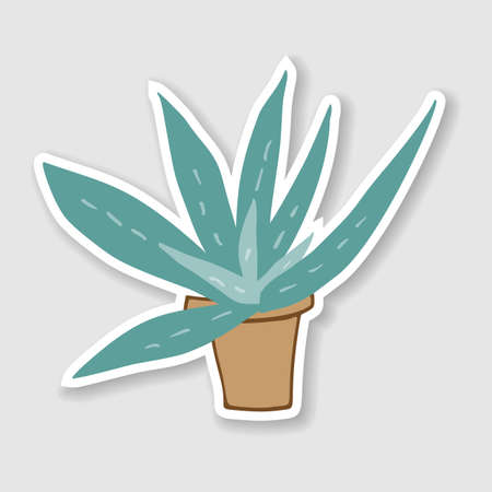 Flat vector illustration of home green cactus in brown plastic pot for sticker.のイラスト素材