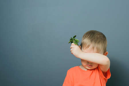 Caucasian blond baby boy in orange t-shirt plants crassula ovata plant, concept of investment in future, stock photo imageの写真素材