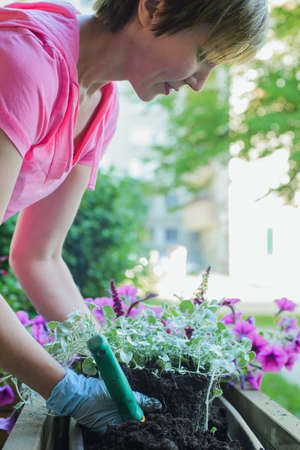 florist plants flowers in wooden street container pot at cafe, outdoors landscaping concept, lifestyle vertical close up stock photo imageの写真素材