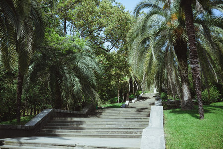 scenic landscape with trees and stone stairs in national city arboretum park sochi, sights,...