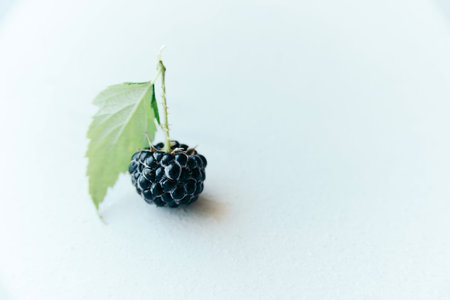 black whole raw ripe blackberry with green leaf on white paper, close-up horizontal stock photo...