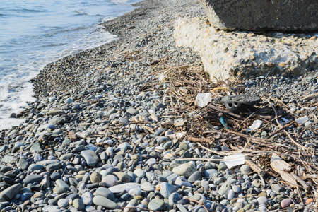 used plastic sandal, garbage, junk litter, broken tree branches on pebble shore beach, environmental protection concept, horizontal lifestyle stock photo image backgroundの写真素材