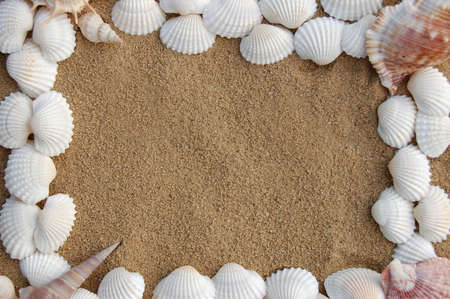 Shell frameの写真素材