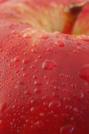 Red, fresh appleの写真素材