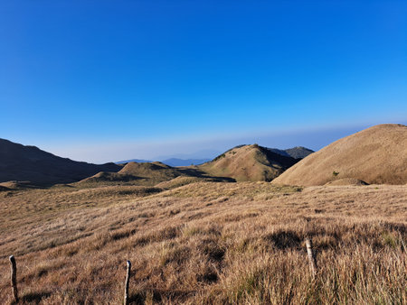 Mountain landscape with dry grass and blue sky in autumn, New Zealandの写真素材