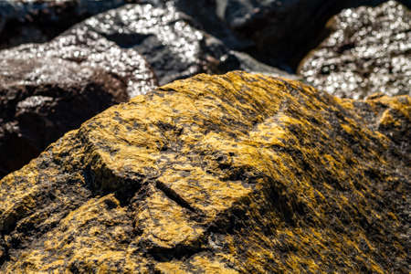 Moss-covered stones by the sea.の写真素材