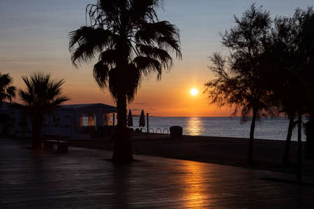 Sun rising above the sea. View from promenade with palms.の写真素材