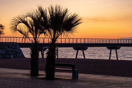 Sunrise at the coastline. View from promenade with palms. Sky with pastel colors.
