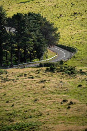Empty countryside road turns to the left. Green meadow with grazing horses. Spain, Basque Country.の写真素材