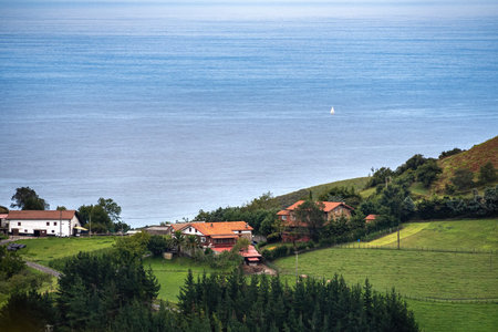 Landscape with several rural houses in a small village at the green hill with a forest, sea and blue...