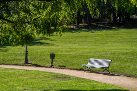 Wooden slatted bench in a verdant green park with neat lawns and woodland trees at the side of a walkway or pathの写真素材