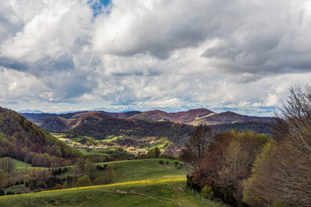 Mountains, hills and forest, partially lit by the sun. Green meadow in the foreground. Catalunya,...