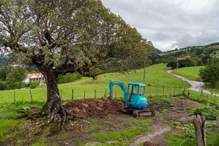 Blue tractor and big tree next to rural road with green farming fields in the village on cloudy day, Basque Country, Spain.の写真素材