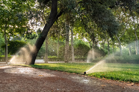 Grass watering in a park in summer day in the morning. Automatic sprinkler irrigation system working...