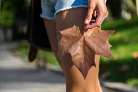 Girl in shorts holding brown maple leaf in park on sunny day.の写真素材