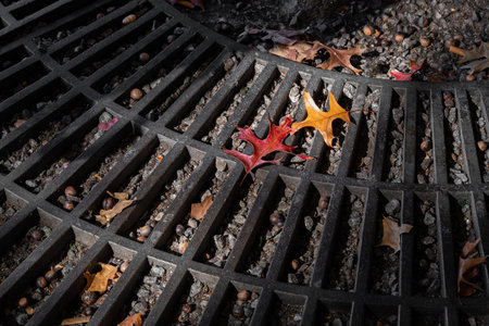 Autumn maple leaves on a metal lattice in a city.