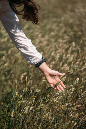 Female palm with sun light at the field. hand touches ears of ripe yellow wheat in a field A woman enjoys nature during the travel in country side.の写真素材