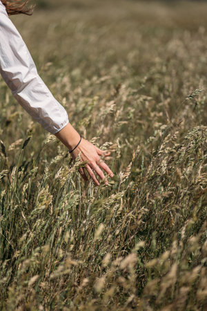 A woman enjoys nature in a wheat field and touches ears of ripe yellow wheat with her handの写真素材