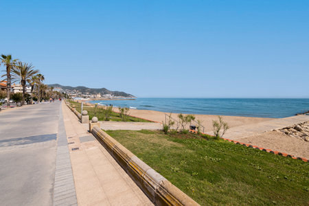 Fascinating view of the promenade on the backdrop of the sea and mountains and palm trees on sunny warm summer day. Concept of beach area in tourist city during a holiday. Copyspaceの写真素材