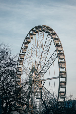 Enjoy a thrilling ride on the iconic ferris wheel among trees and the blue sky at the amusement park