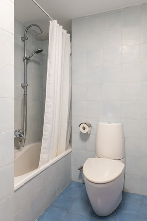 Toilet bowl near bathtub with shower in home bathroom