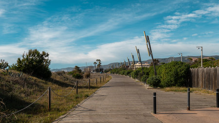 Serene Coastal Pathway with Wooden Planks and Flanking Vegetation Under a Clear Blue Skyの写真素材