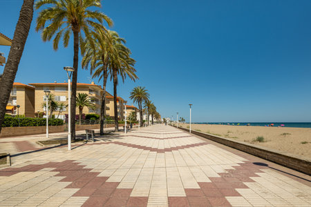 The beautiful and scenic Beach Promenade is lined with tall palm trees and offers a vibrant atmosphereの写真素材