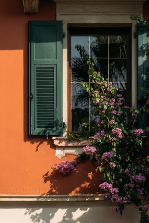 A Charming Window with Beautiful Green Shutters and Colorful Blossoming Flowersの写真素材