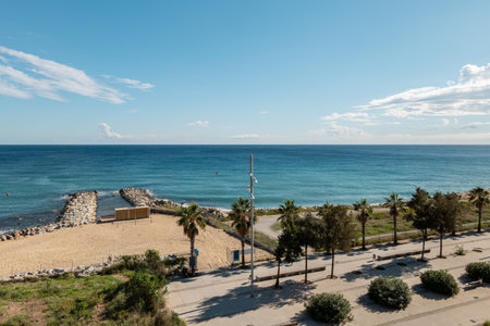 A scenic view of the beach in Barcelona, featuring a sandy shore, palm trees, and a calm blue sea under a clear sky.の写真素材