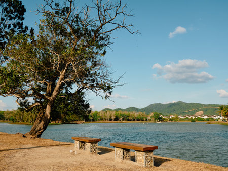 A lake at Jitra, Malaysia.の写真素材
