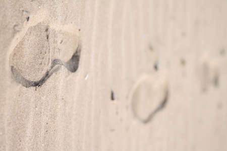 footprints in the sandの写真素材