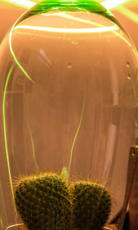 Natural energyの写真素材