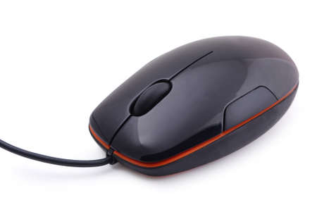 Computer mouse on a white background