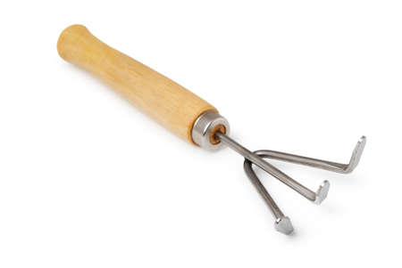 Small rake on a white background