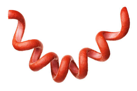 Spiral sausage isolated on a white background の写真素材