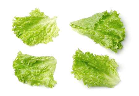 Lettuce salad leaves isolated on white background. Top viewの写真素材