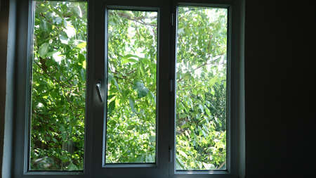 view from the windowの写真素材