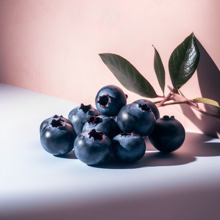 Fresh blueberries with leaves on a light background. Toned.の素材