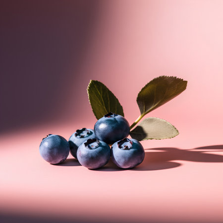 Blueberries with leaves on a pink background. Concept of healthy eating.の素材