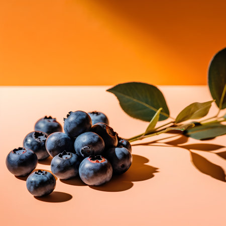 fresh blueberries on orange background with green leaves, close-upの素材