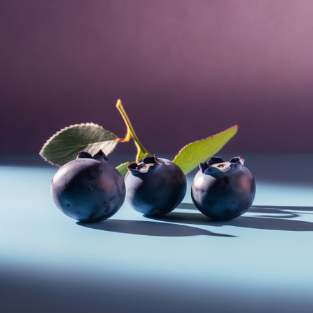 Blueberries on a blue background. Bilberries with leaves on a dark background.の素材