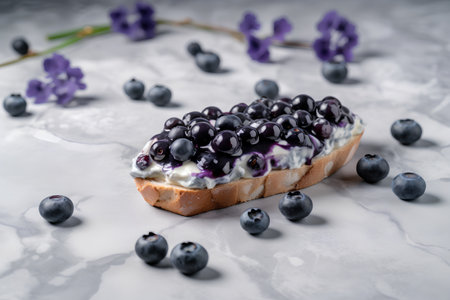 Toast with blueberry jam and fresh blueberriesle backgroundの素材