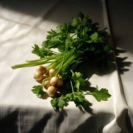 Bunch of fresh parsley and garlic on a white tableclothの素材