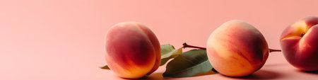 Ripe peaches with leaves on a pink background. Copy space.の素材