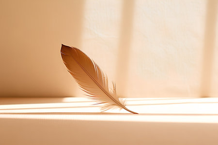 feather of a bird on a beige background with rays of lightの素材