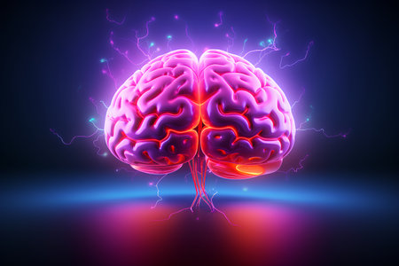 Human brain. 3d vector illustration. Isolated on black background.の素材