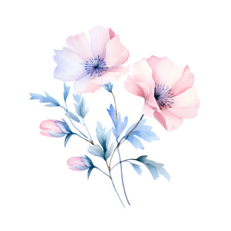 Watercolor poppies bouquet on white background. Vector illustration.の素材