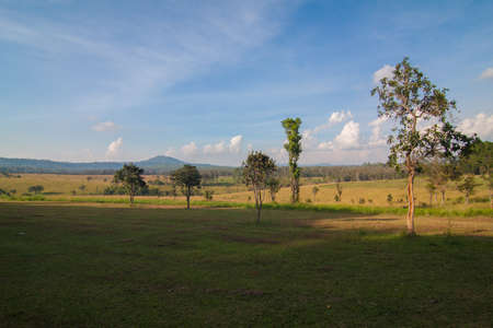 Natureの写真素材